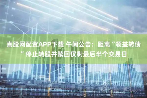 喜股网配资APP下载 午间公告：距离“领益转债”停止转股并赎回仅剩最后半个交易日