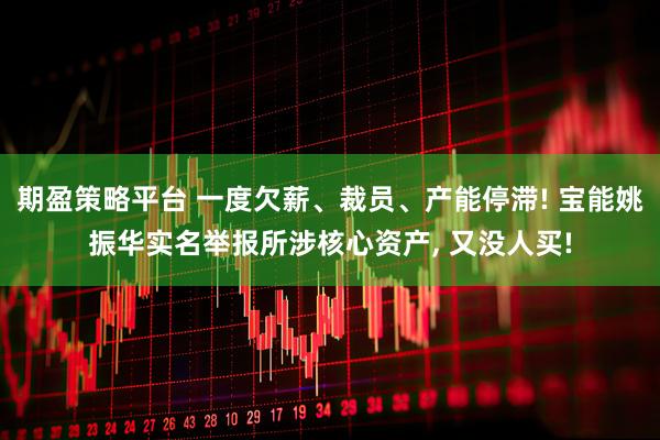 期盈策略平台 一度欠薪、裁员、产能停滞! 宝能姚振华实名举报所涉核心资产, 又没人买!