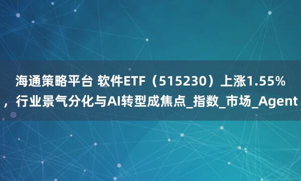 海通策略平台 软件ETF（515230）上涨1.55%，行业景气分化与AI转型成焦点_指数_市场_Agent